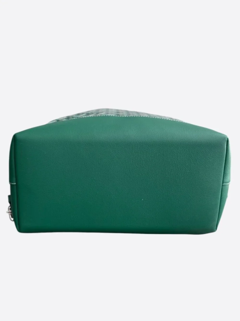 Goyard Green Cisalpin Backpack